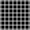 #162 :: Hermann Grid: Grid Illusion